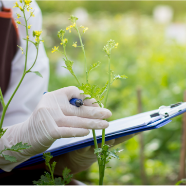 Image of woman holding a clipboard in a field